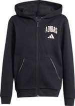 adidas Seasonals Collegiate Typography Hoody