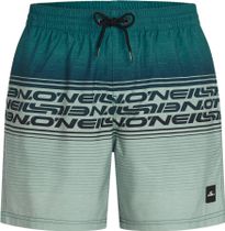 O'Neill O'neill Logo Stripe 16'' Swimshorts