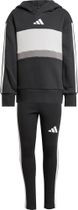 adidas Seasonal Essentials Tiberio 3 Stripes Fleece Leggings SET