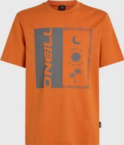 O'neill Front Print T-shirt