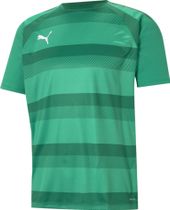 Teamvision Jersey