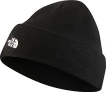 Norm Shallow Beanie