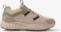 GEN7 - Corn X Cactus - Pink Aloe