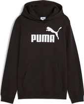 Essentials No. 1 Logo Hoodie FL G