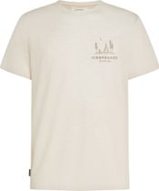 Icebreaker Men Merino 150 Tech Lite Short Sleeve Tee Peaceful Pass Men's Running Shirt