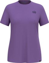 The Ascent Merino 160 Raincloud T-shirt