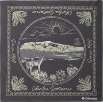 Skien Valley Bandana