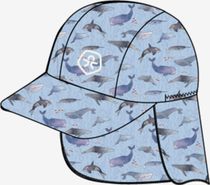 Hat AOP 720227