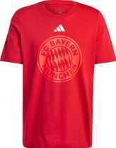 adidas FC Bayern Munich DNA GR T-shirt