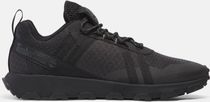 Mens Low Lace UP Sneaker