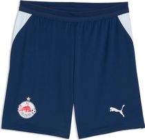 Puma RBS Shorts Replica Outdoor Shorts für Herren