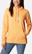 Trek Graphic Hoodie