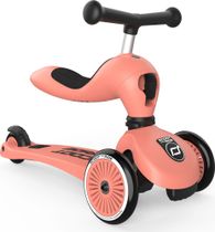Scoot and Ride Highwaykick 1