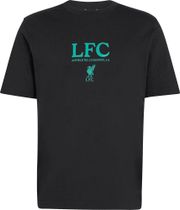 adidas Liverpool FC Seasonal Graphic Tee
