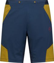 Trail Guard Shorts Men
