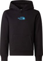 The North Face Boys Liquid Logo REG Hoodie