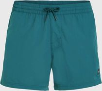 Jack O'neill Vert Retro 14'' Swim Shorts
