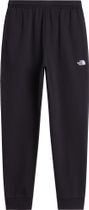 The North Face Mens Evolution Simple Dome Regular Jogger Men's outdoor pants
