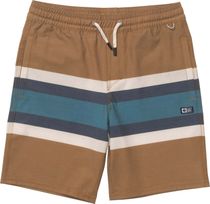Salty Crew Crew Boys Stripe Volley Swimwear