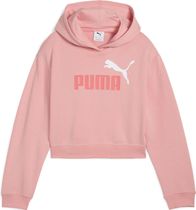 Essentials 2 Color No. 1 Logo​ Short Length Hoodie TR G