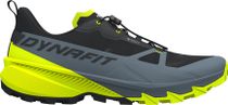 Dynafit Traverse 2 GTX Herren Laufschuhe