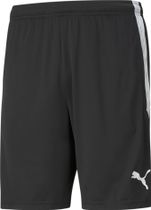 Puma Teamliga Training Shorts Herren Laufshorts