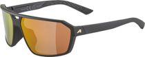 Alpina Swift Bike Brille