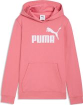 Essentials No. 1 Logo Hoodie TR G