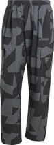 Terrex Xploric Printed Cargo Pants