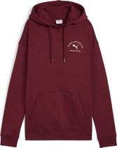 Puma Class Relaxed Hoodie FL