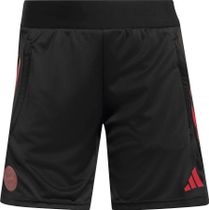 adidas FC Bayern 2025/2026 Tiro25 European Competition Training Shorts