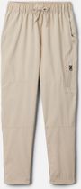 Silver Ridge Utility Cargo Pant