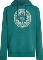 O'Neill O'neill Musthave Graphic Hoodie Men Hoody