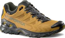 Ultra Raptor II Leather GTX
