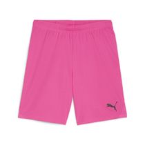 Teamgoal Shorts