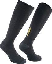 Silk Ultralight Socks