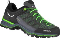 Mountain Trainer Lite Gore-tex Herrenschuhe