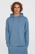 O'neill Small Logo Hoodie