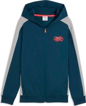Puma Active Sports Full-zip Hoodie TR B