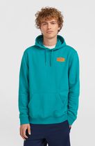 O'neill Graphic Hoodie