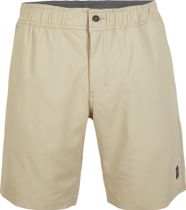 Utility 17'' Hybrid Shorts