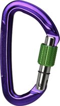 Session Screw Gate