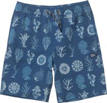 Salty Crew Crew Boys Volley Swimwear