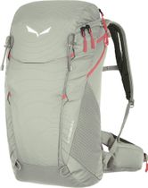 Salewa ALP Trainer 20 WS