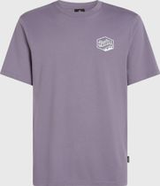 O'neill Box Logo T-shirt