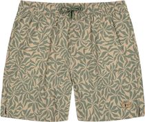 Barts Ingleses Shorts