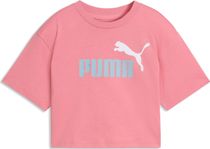 Essentials 2 Color No. 1 Logo Short Length Tee G