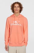 O'neill Logo Hoodie