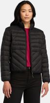 Durable Water Repellent Jacket