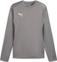 Puma Teamgoal Training Pant Wmn Damen Lauf- & Trainingshose